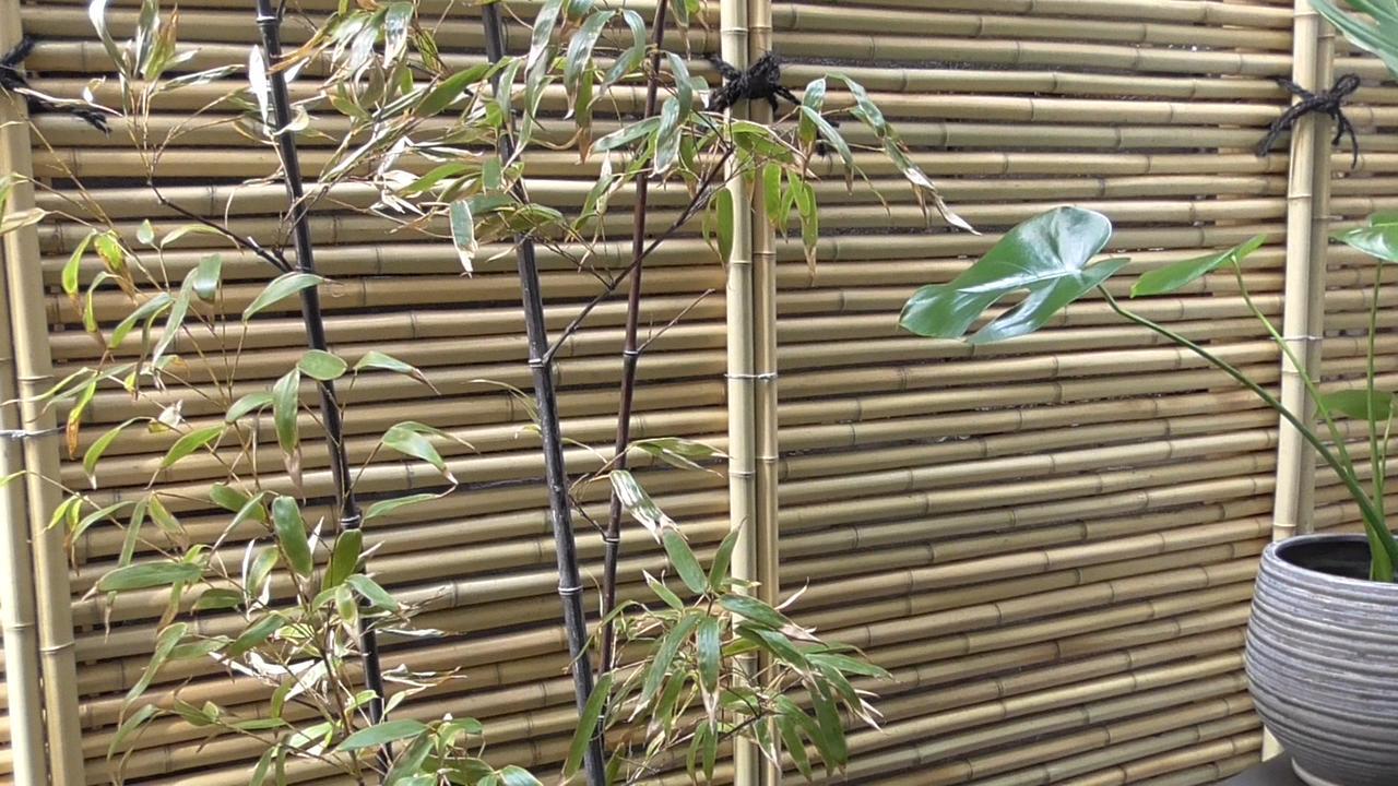 Daimaru-Un Βίλα Καναζάουα Εξωτερικό φωτογραφία